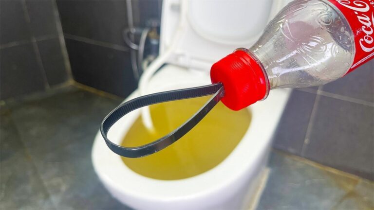 Questo semplice gesto trasforma bottiglie vuote in soluzioni geniali per il bagno…