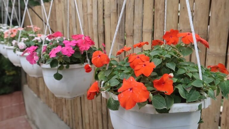 Questo semplice gesto trasforma il tuo giardino in un’oasi di fiori…