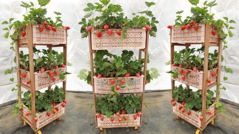 Questo semplice gesto trasforma un cestino di plastica in un giardino verticale di