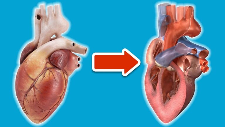 6 segni insoliti di malattia cardiaca che devi conoscere subito!