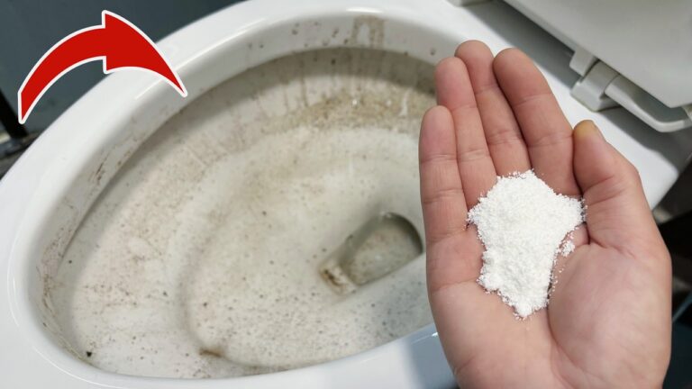 Scopri 5 alternative naturali per pulire il wc senza detergenti chimici