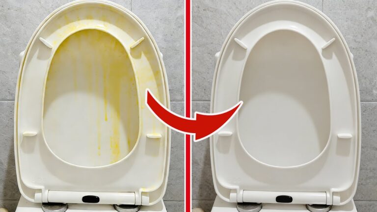 Scopri 5 trucchi per pulire il wc e farlo brillare come nuovo!