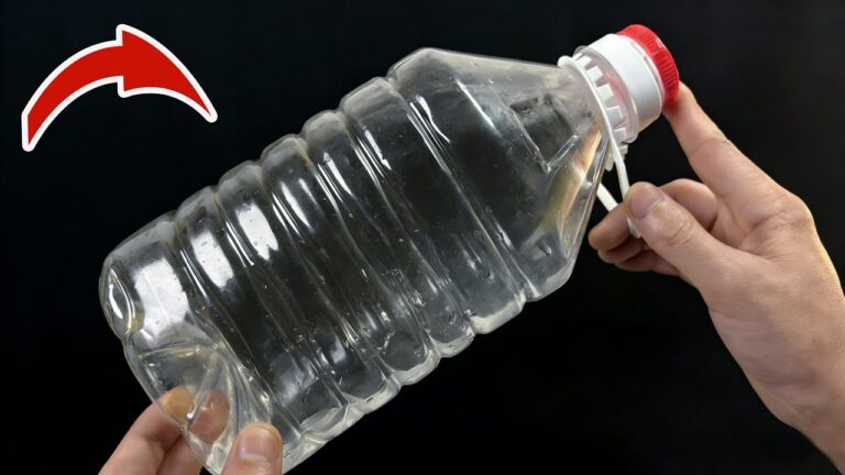 Scopri 5 idee creative per riciclare le bottiglie di olio vuote!