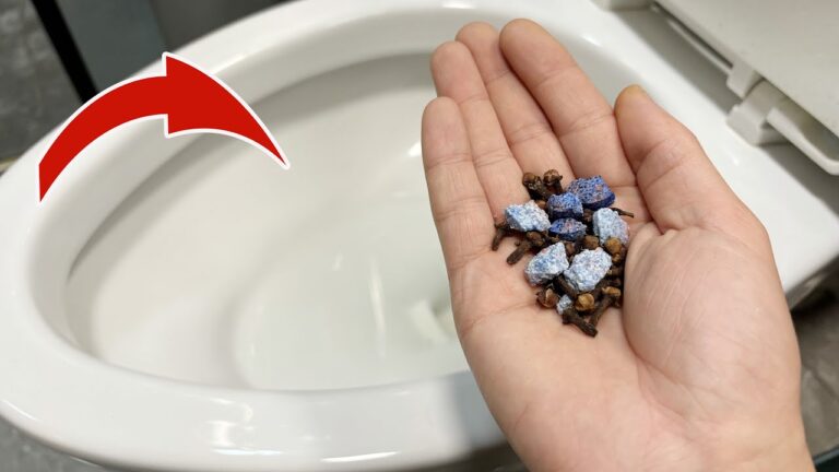 Scopri 5 trucchi per tenere il bagno pulito senza fatica per un mese!