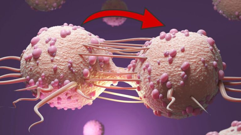 Scopri 6 segni di allerta del cancro da non ignorare per una vita sana!