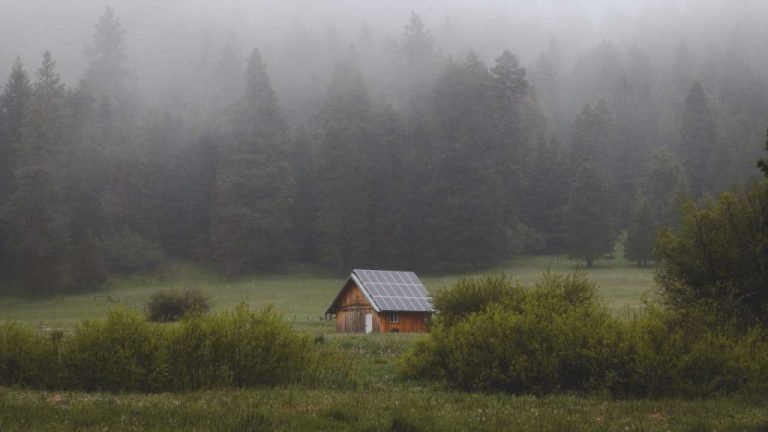 Vivere senza elettricità in una casa piccola: ecco perché è sorprendente