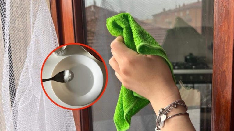 Il trucco per pulire i vetri come nei migliori hotel a 5 stelle