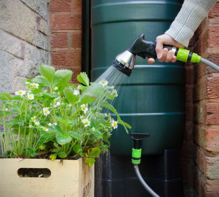 Come realizzare un sistema di raccolta dell’acqua piovana: 8 idee fai-da-te