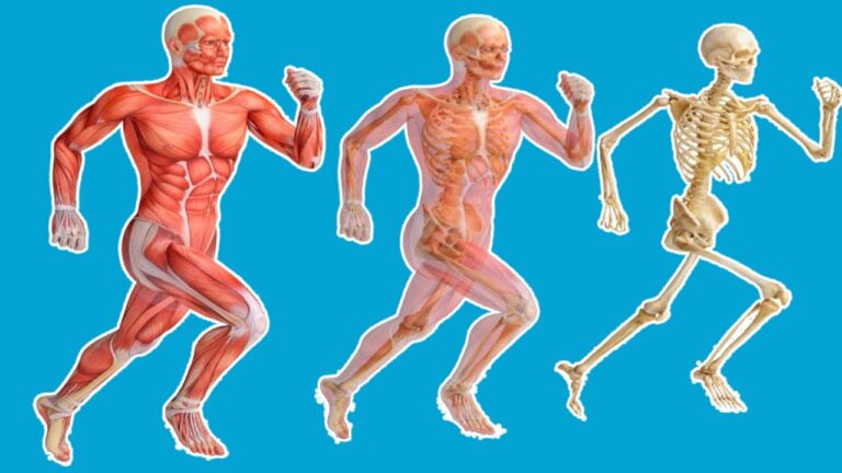 Scopri cosa succede al tuo corpo correndo 5 minuti ogni giorno!