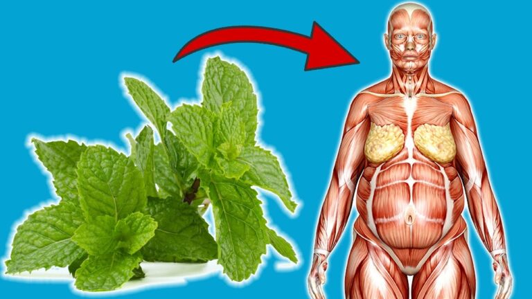 Scopri 7 incredibili benefici della menta da mangiare ogni giorno!