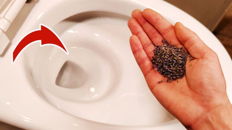 Scopri 5 trucchi sorprendentemente efficaci per eliminare odori indesiderati!