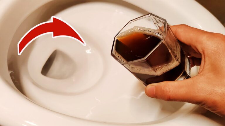 Scopri 5 trucchi naturali per pulire il WC senza prodotti chimici!