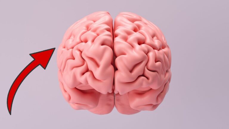 5 abitudini quotidiane che danneggiano il tuo cervello da conoscere subito!