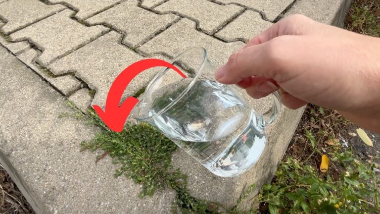 Elimina 7 erbacce con un solo trucco semplice e veloce! Scopri come farlo!