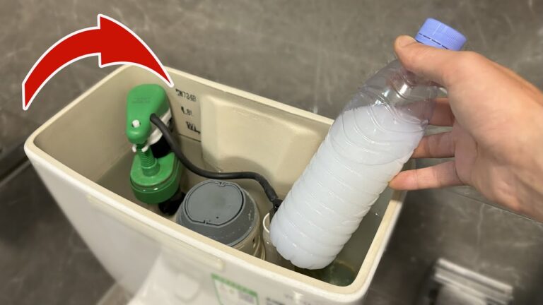 Scopri 10 trucchi per pulire il water e farlo brillare come nuovo!