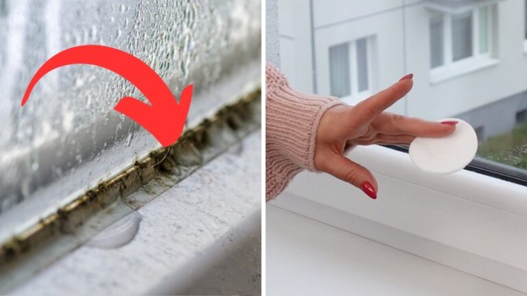 5 trucchi infallibili per pulire i tuoi vetri e dire addio alla muffa!