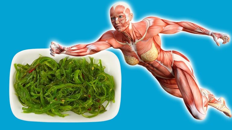 Scopri cosa succede mangiando alga ogni giorno per 30 giorni!