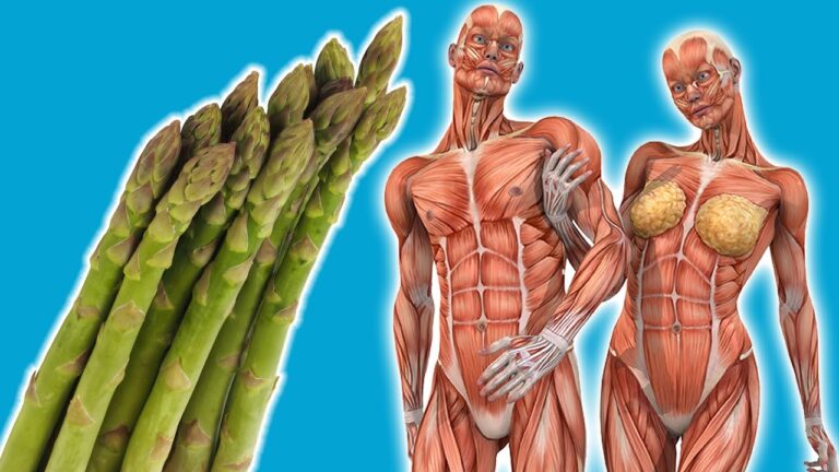 Scopri 5 incredibili benefici di mangiare asparagi ogni giorno!
